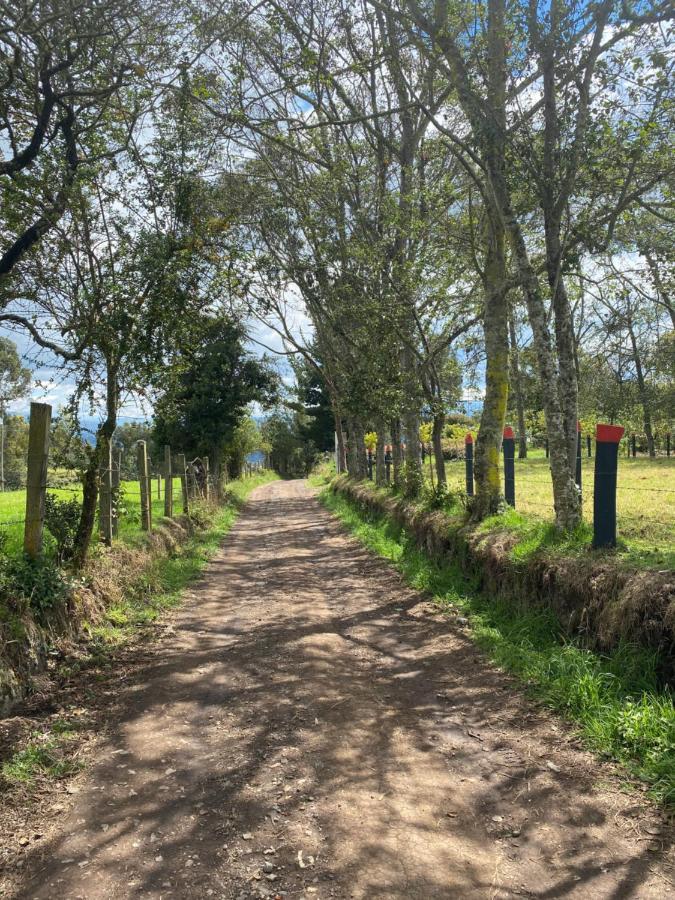 Casa Santo Domingo, Romántica, 10 Min Del Centro De La Ciudad Agroturismo Chiquinquirá